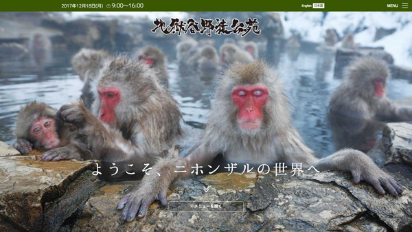 地獄谷野猿公苑